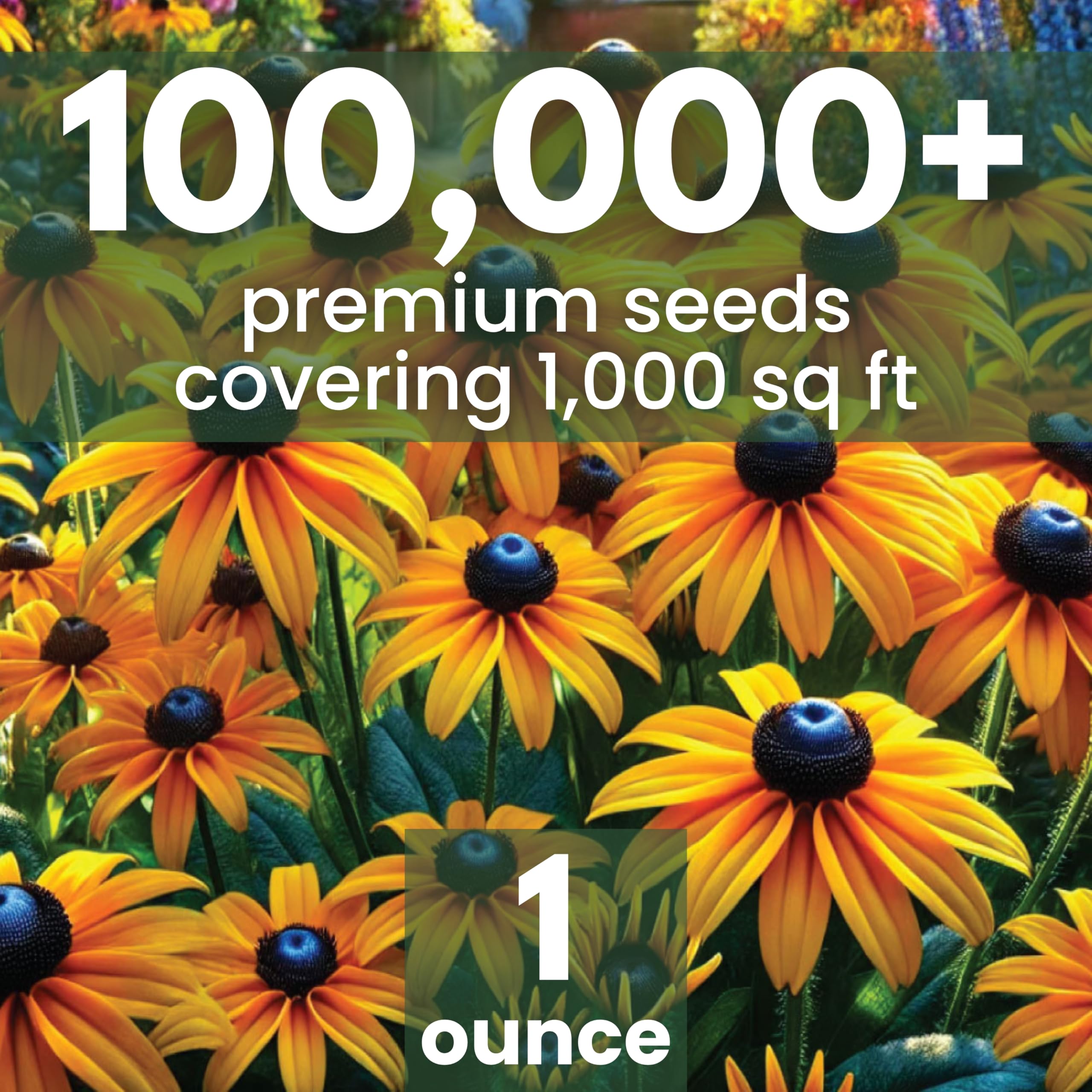 Family Sown seed packet back with planting instructions for successful sowing