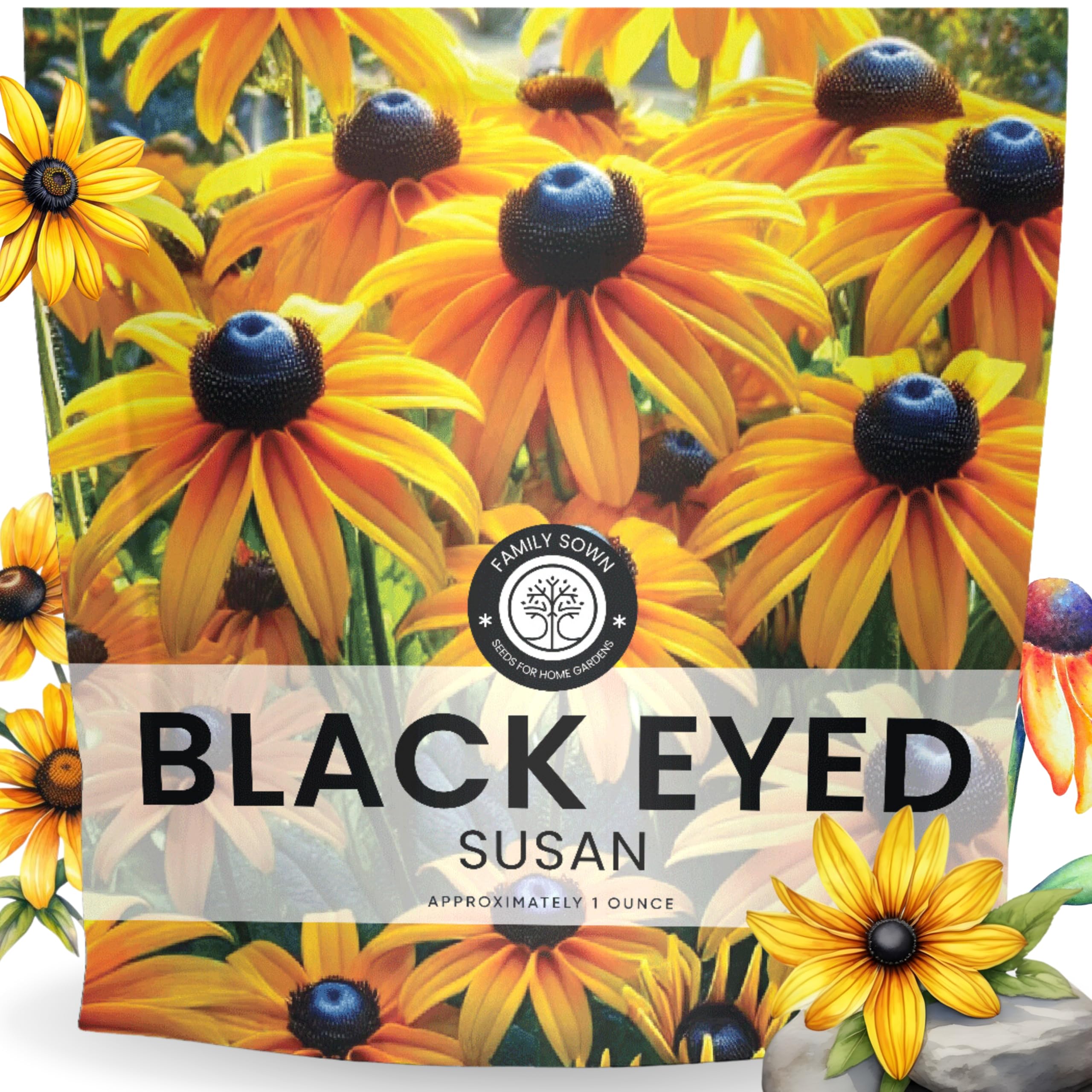 Family Sown Black Eyed Susan seed packet front for easy planting inspiration