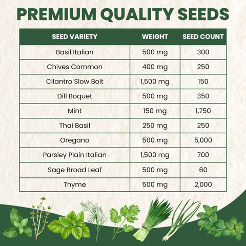 Family Sown cilantro Slow Bolt seed packet for quick harvests.
