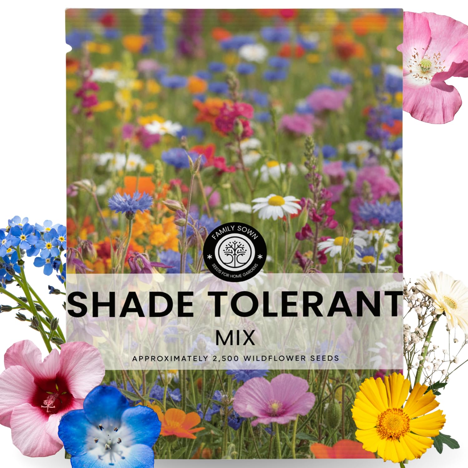 FAMILY SOWN shade-tolerant mix 5g pouch for easy planting and seed freshness.