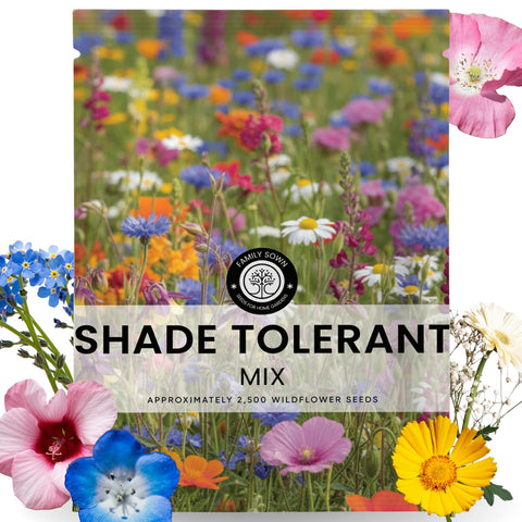 FAMILY SOWN shade-tolerant mix 5g pouch for easy planting and seed freshness.