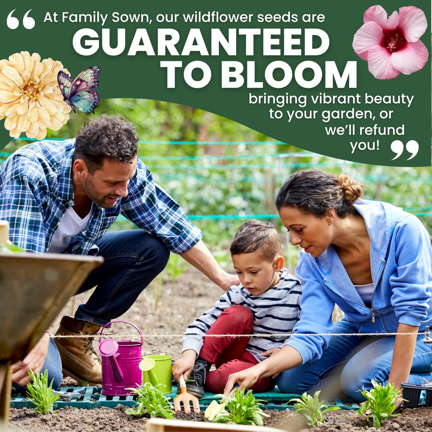 FAMILY SOWN shade-tolerant mix thrives along tree lines for color.