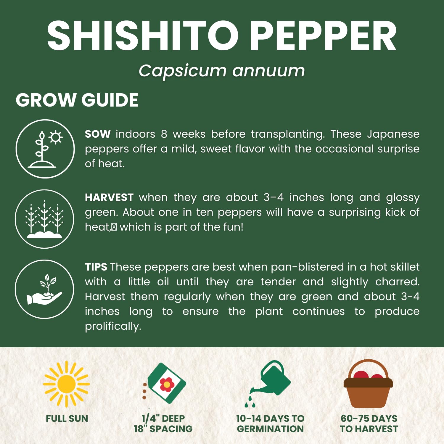 Family Sown Shishito peppers develop slender fruits for early-season harvests.