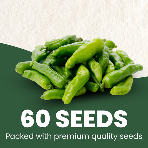 Family Sown Shishito pepper 500mg freshness pouch preserves viability for longer storage.