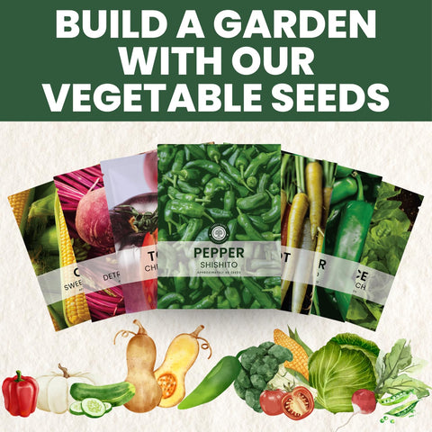 Family Sown seed packets include clear planting instructions and a freshness seal.