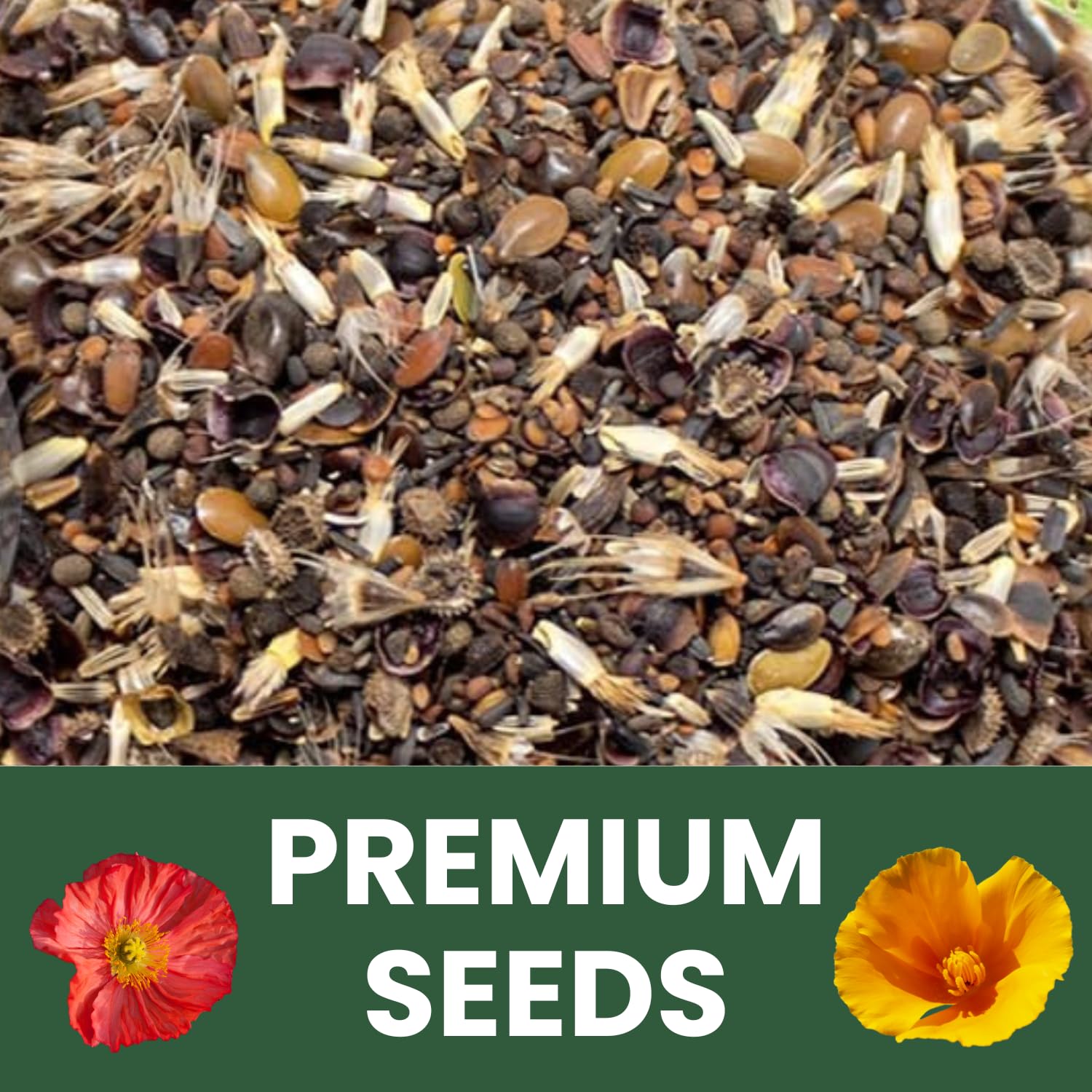 Family Sown simple planting instructions help beginners start.