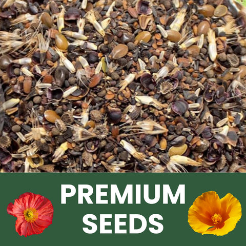 Family Sown simple planting instructions help beginners start.