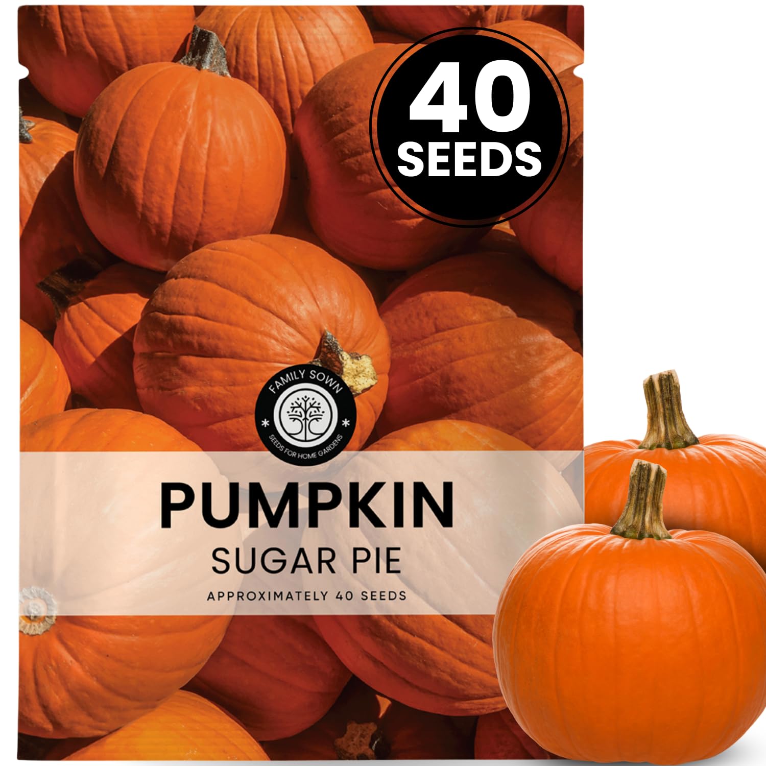 Family Sown Sugar Pie seeds in a 6g pouch, ideal for spring planting.