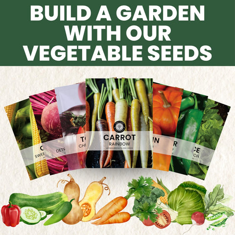 Family Sown sunlit-garden shows easy-to-grow conditions.