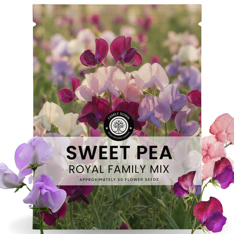 FAMILY SOWN Sweet Pea Royal Family Mix bloom adds vibrant garden color