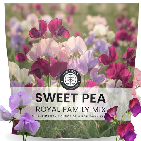 FAMILY SOWN Sweet Pea Royal Family Mix seeds for planting and vibrant blooms