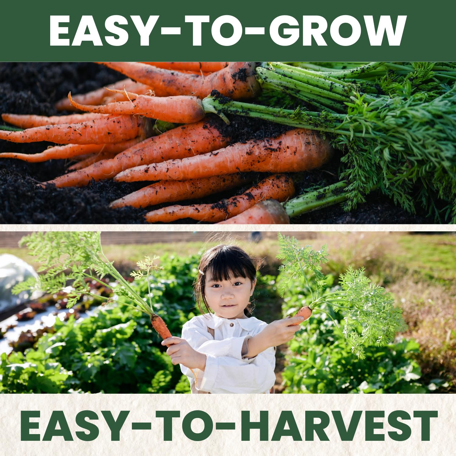 Family Sown 5-gram freshness pouch preserves seed viability.