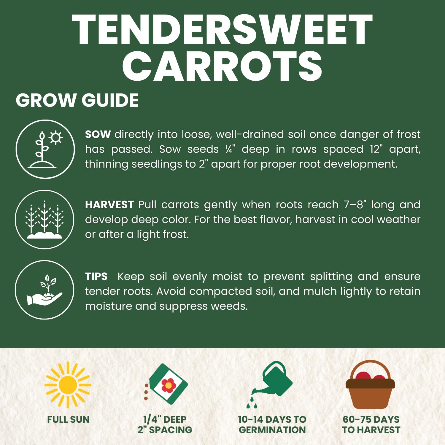 Family Sown Tendersweet carrot garden bed ready for planting.