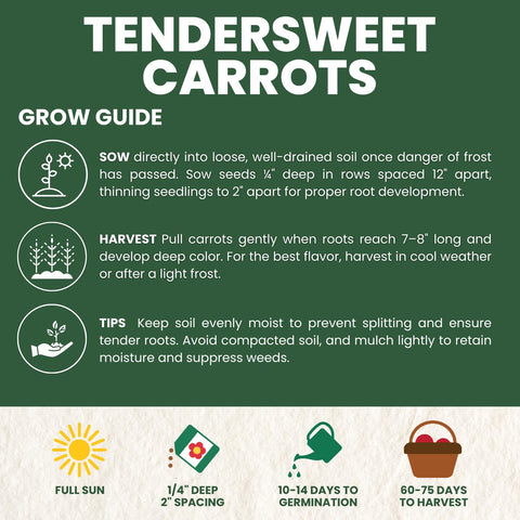 Family Sown Tendersweet carrot garden bed ready for planting.