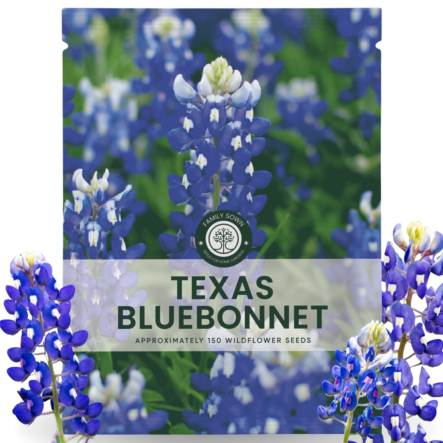 Family Sown Texas Bluebonnet seeds ready for spring planting and vibrant border color.