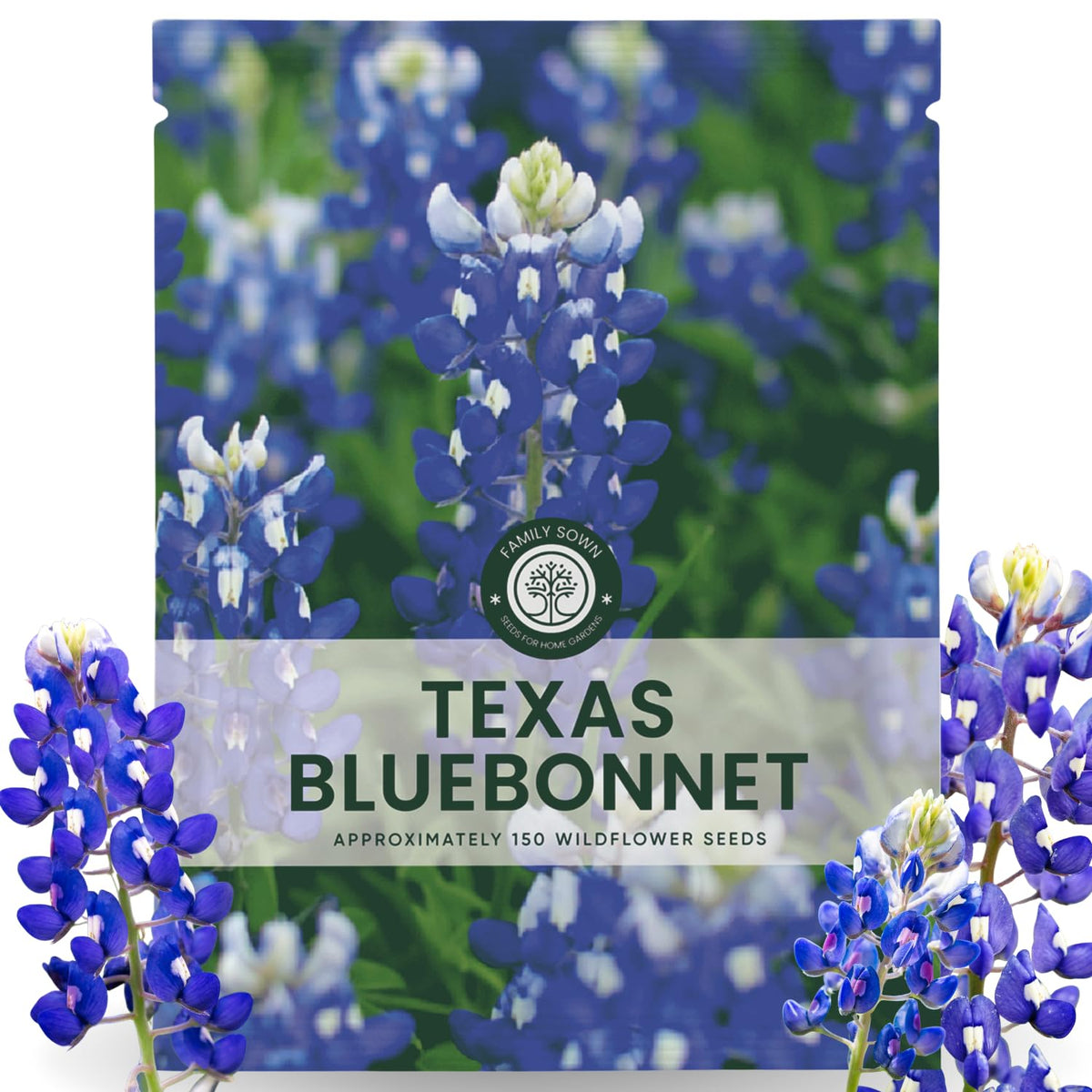 Family Sown Texas Bluebonnet seeds ready for spring planting and vibrant border color.