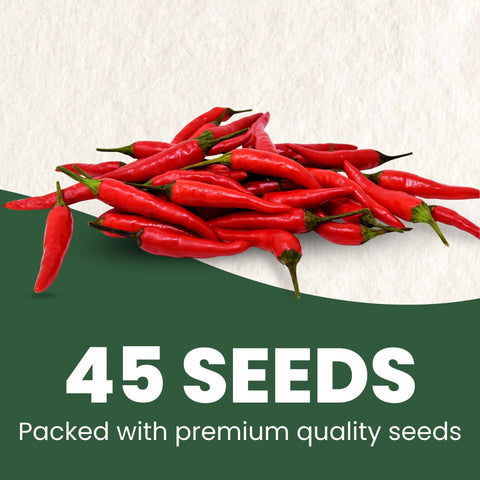 Family Sown Thai Pepper seeds closeup highlighting premium seeds for reliable germination.
