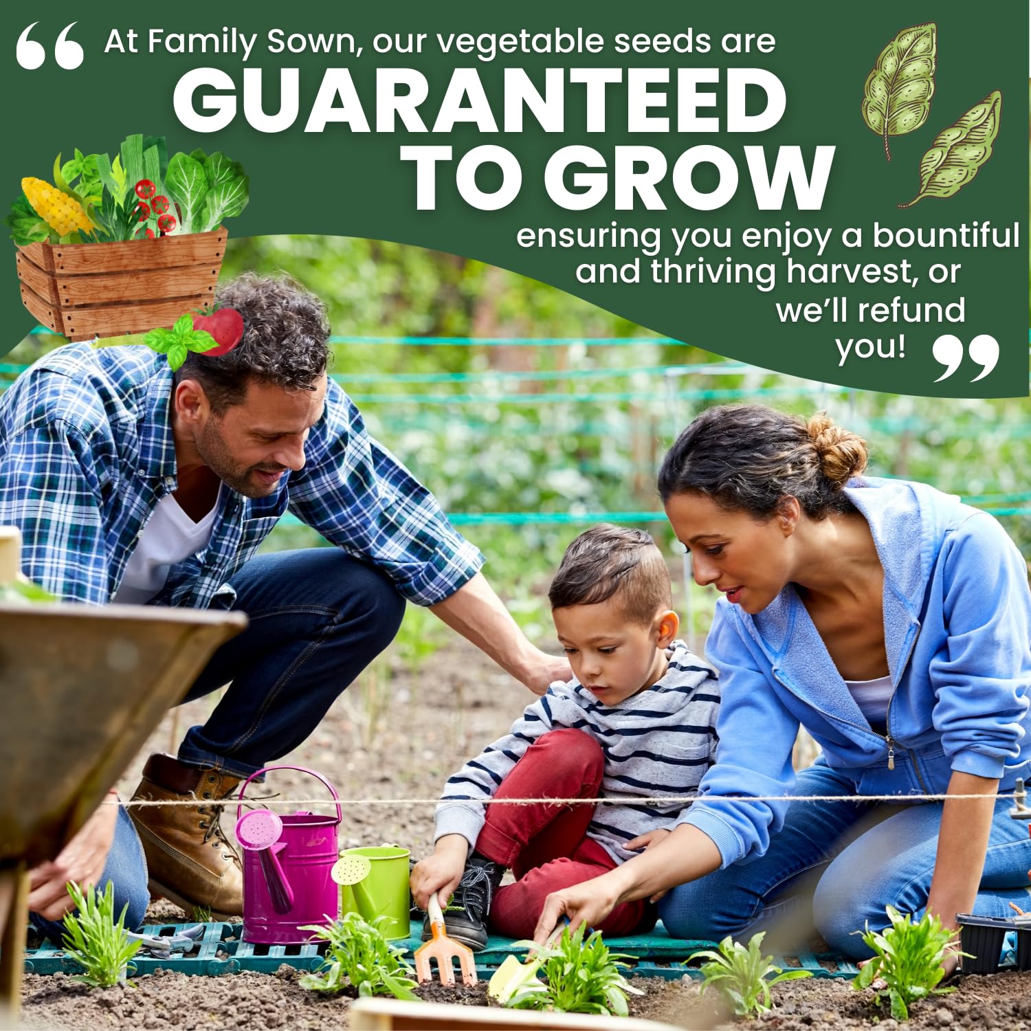 FAMILY SOWN Tulsi seeds prepared for 2026 season, supporting a resilient, vibrant herb collection.