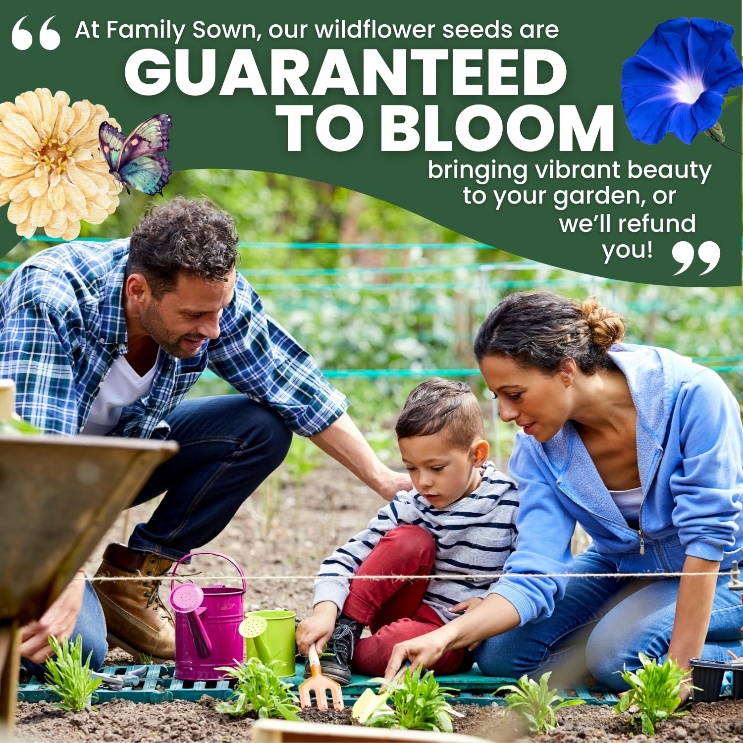 FAMILY SOWN Quick-growing climbers brighten vertical space with color.