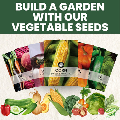 Family Sown clear planting guidance accompanies the seeds for easy setup.