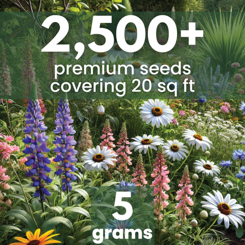 Family Sown wildflower seeds spread for lush, bee-friendly beds
