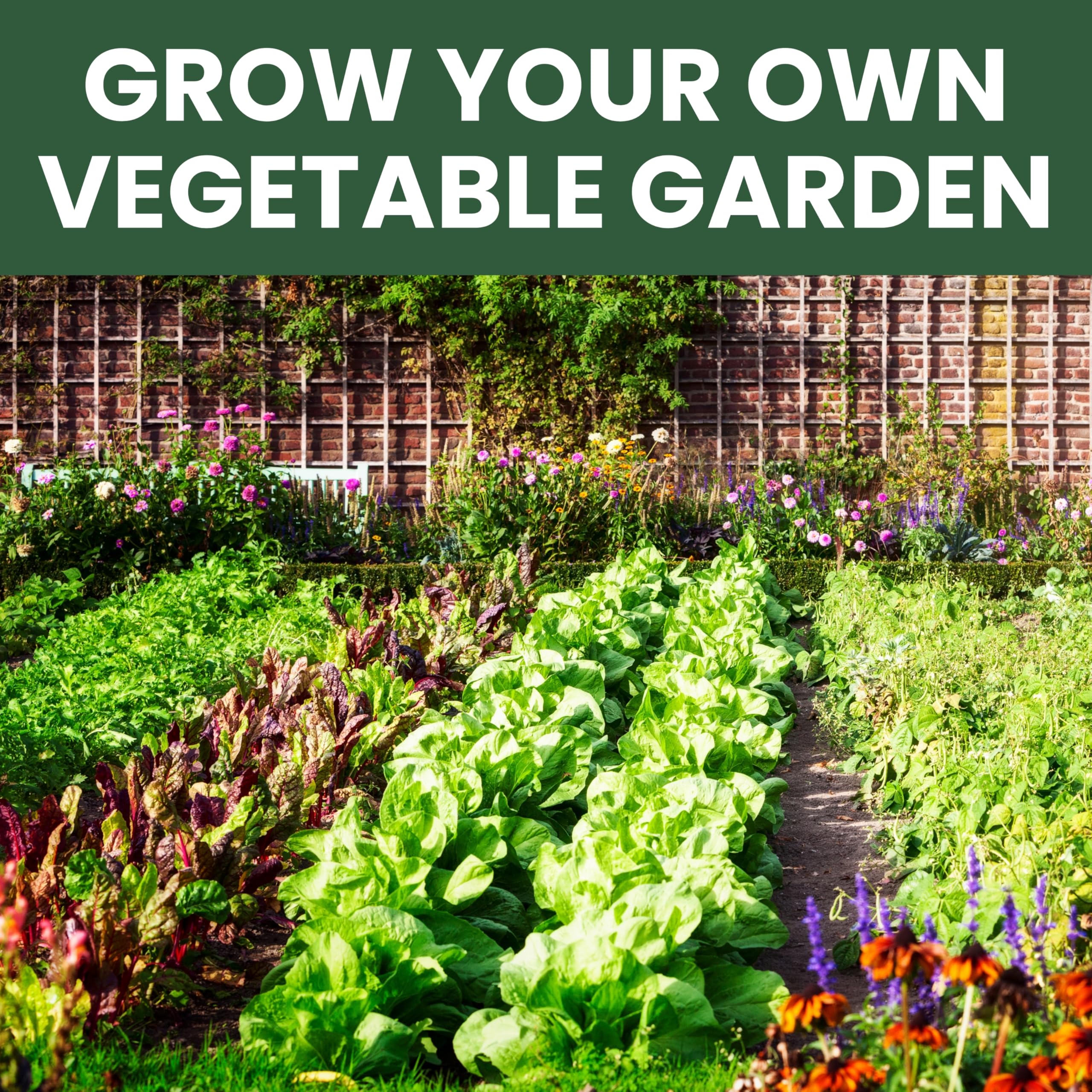 Year-round gardening ideas from Family Sown support seasonal harvests.