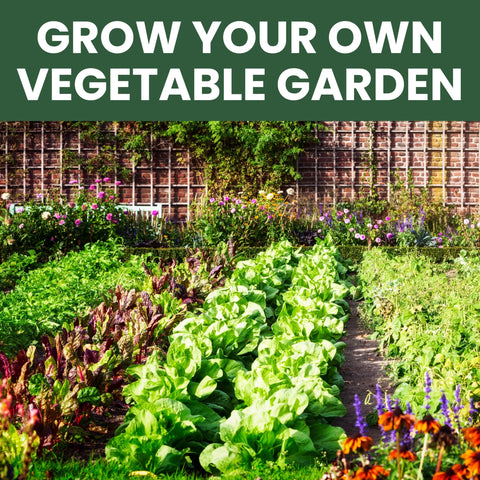 Year-round gardening ideas from Family Sown support seasonal harvests.