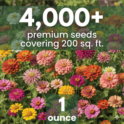 Family Sown Zinnia Crazy Blend color range brightens borders and garden displays.