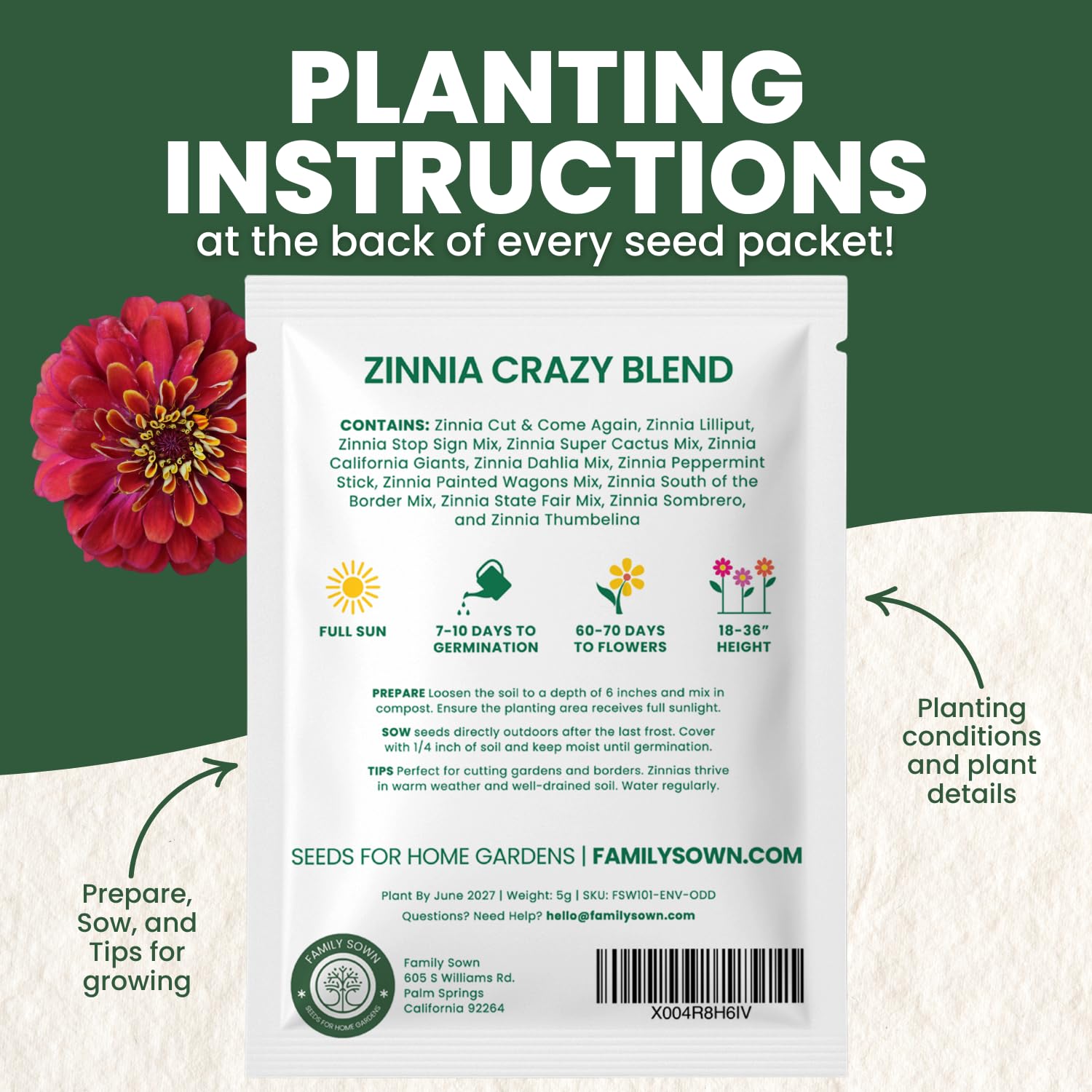 Zinnia Crazy Blend garden bed display showcasing bold blooms.