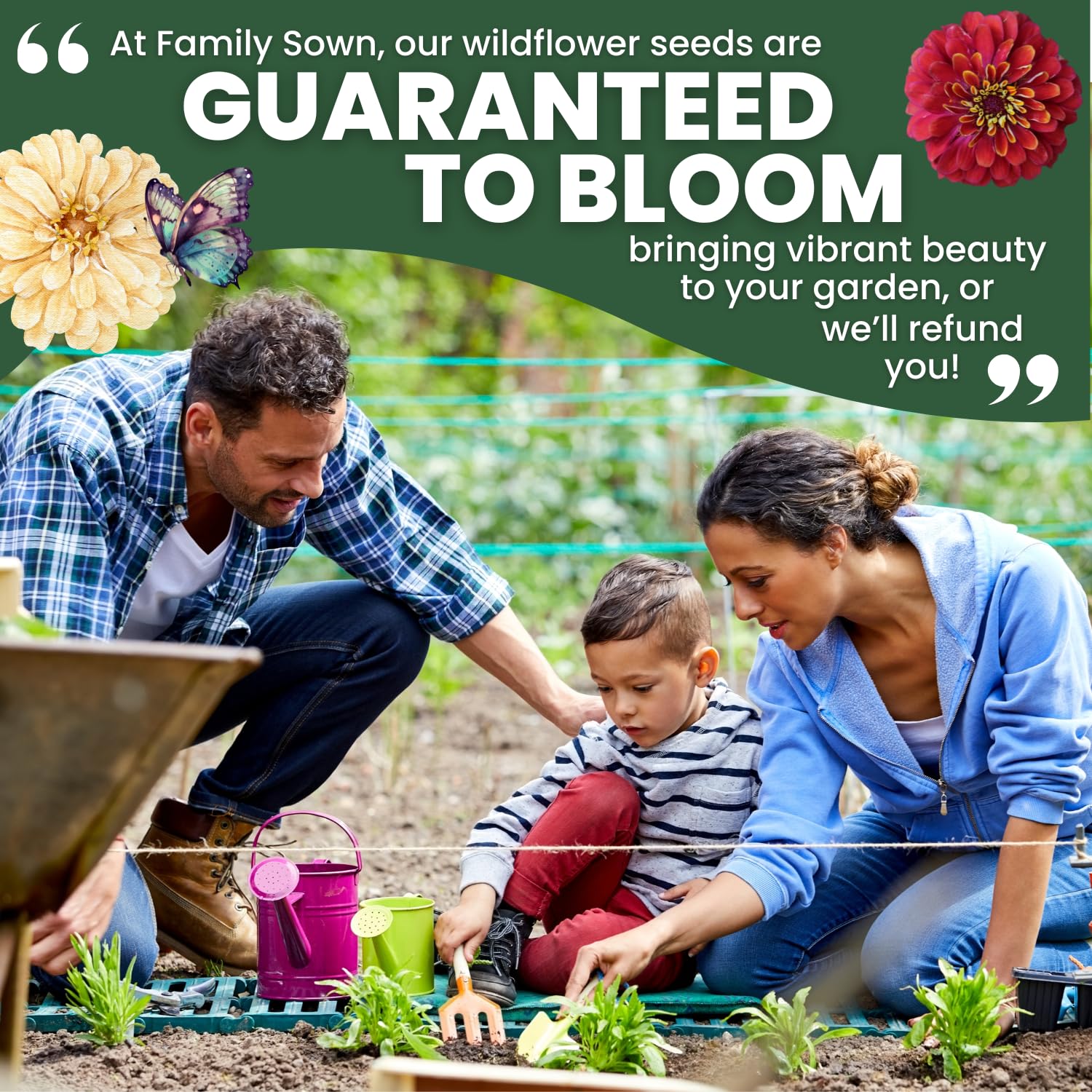Family Sown Zinnia Crazy Blend seed packet opens for quick sowing and garden color.