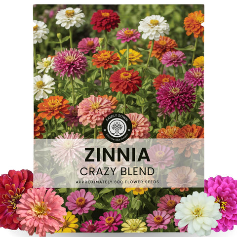Family Sown Zinnia Crazy Blend seeds pack for vibrant borders.