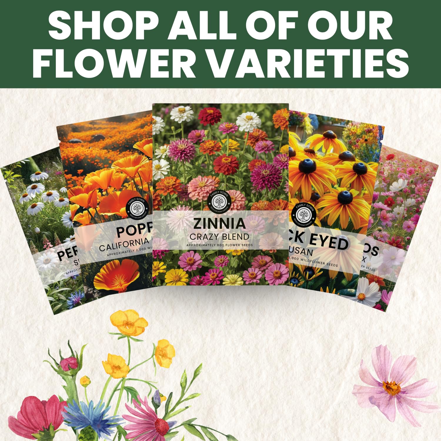 Family Sown Zinnia Crazy Blend diverse mixes add bold blocks of color to beds.