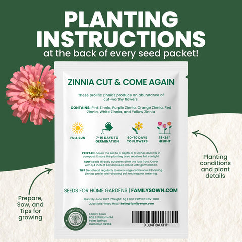 FAMILY SOWN zinnia orange crisp bloom offers warm garden accents.