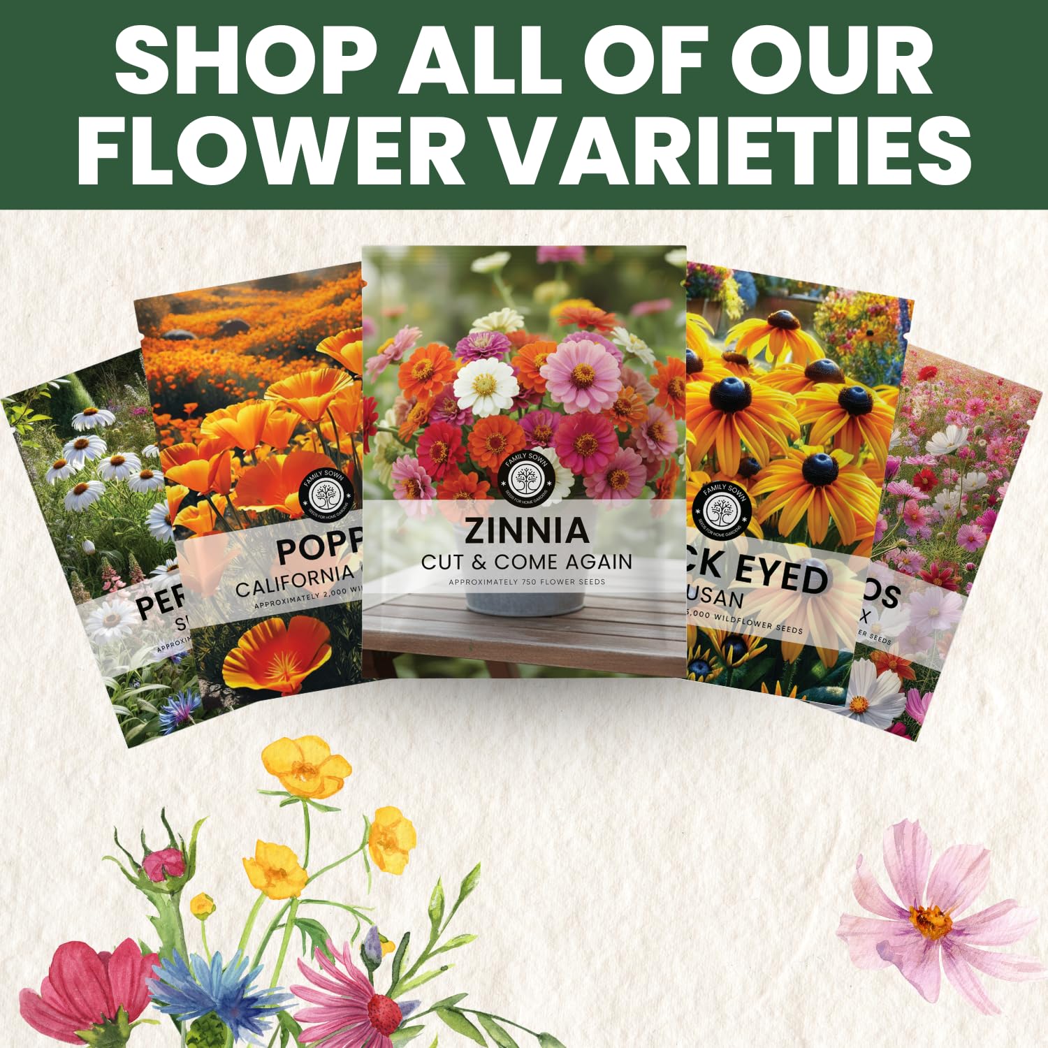 FAMILY SOWN zinnia purple pastel bloom softens borders.