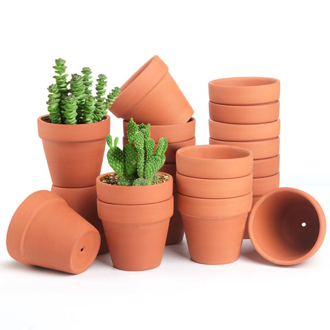 Family terra cotta pot close-up, textured clay surface promotes breathable root health.