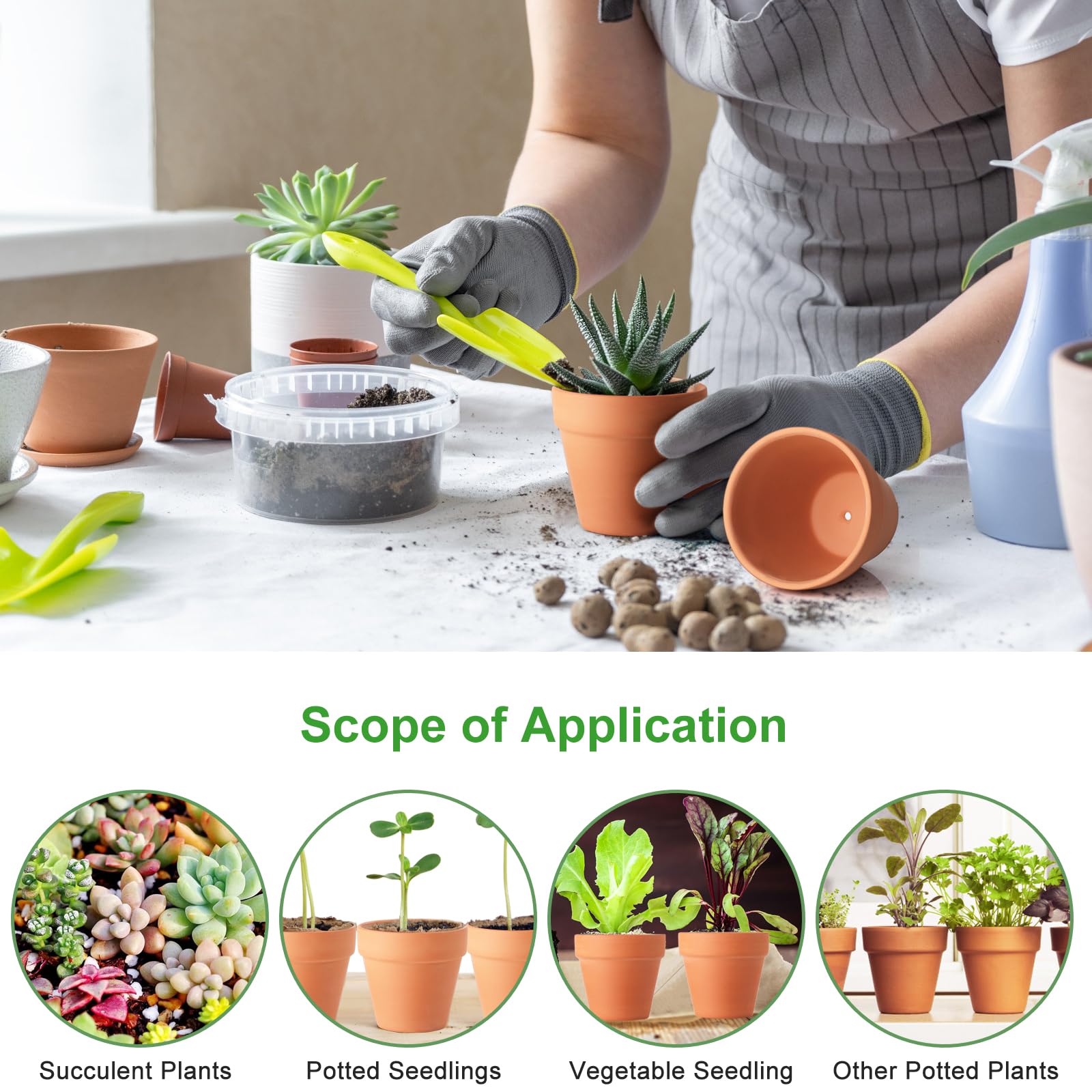 Family terra cotta pot fired at 980°C for reliable strength.
