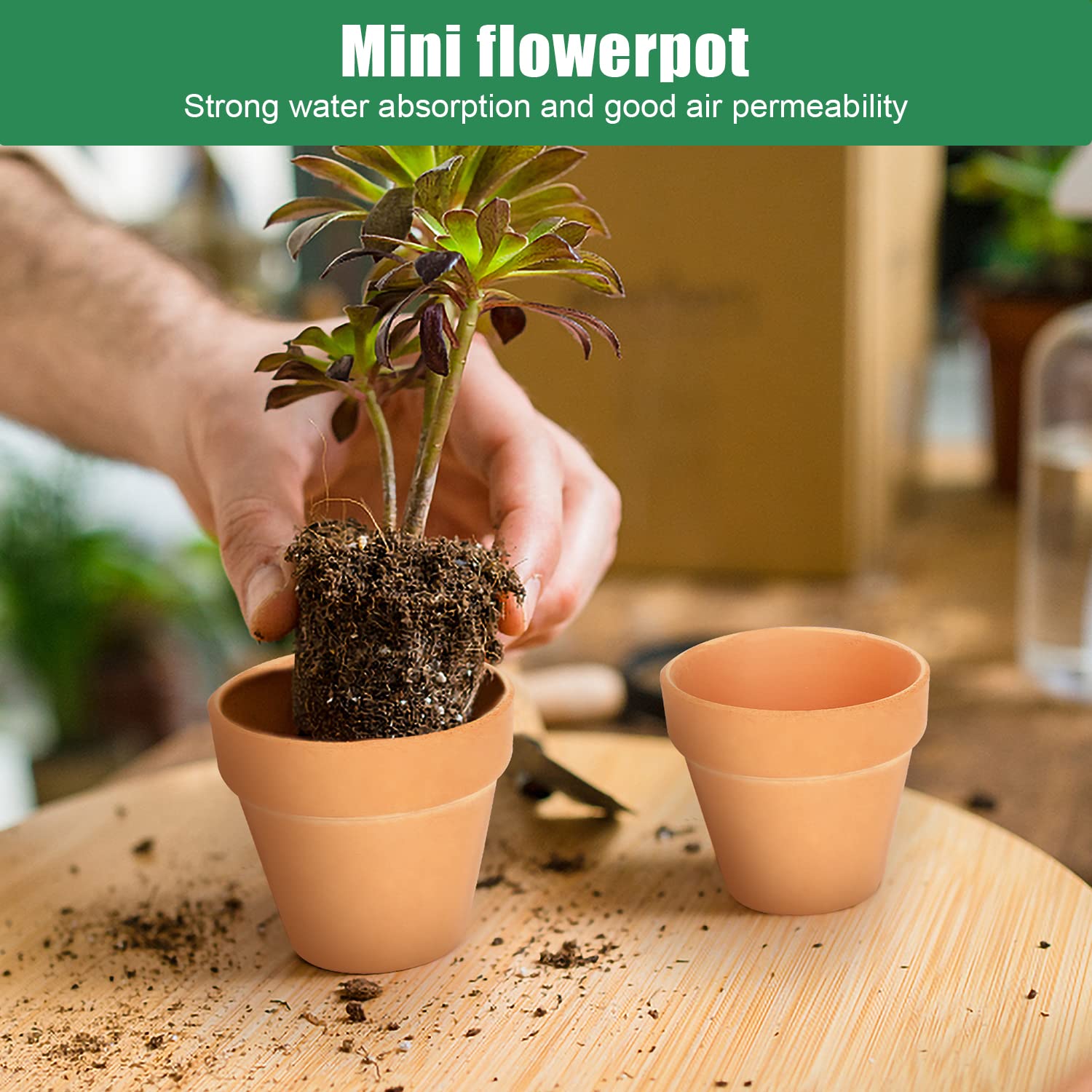 Family terra cotta pot paintable surface invites customization for decor.