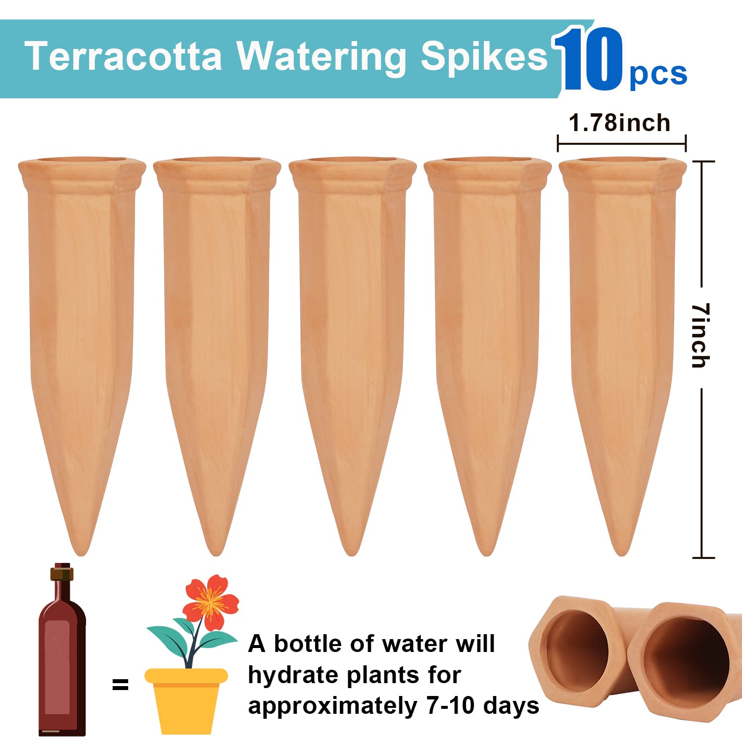 FAMILY terracotta self-watering nail close-up showing durable, eco-friendly watering solution.