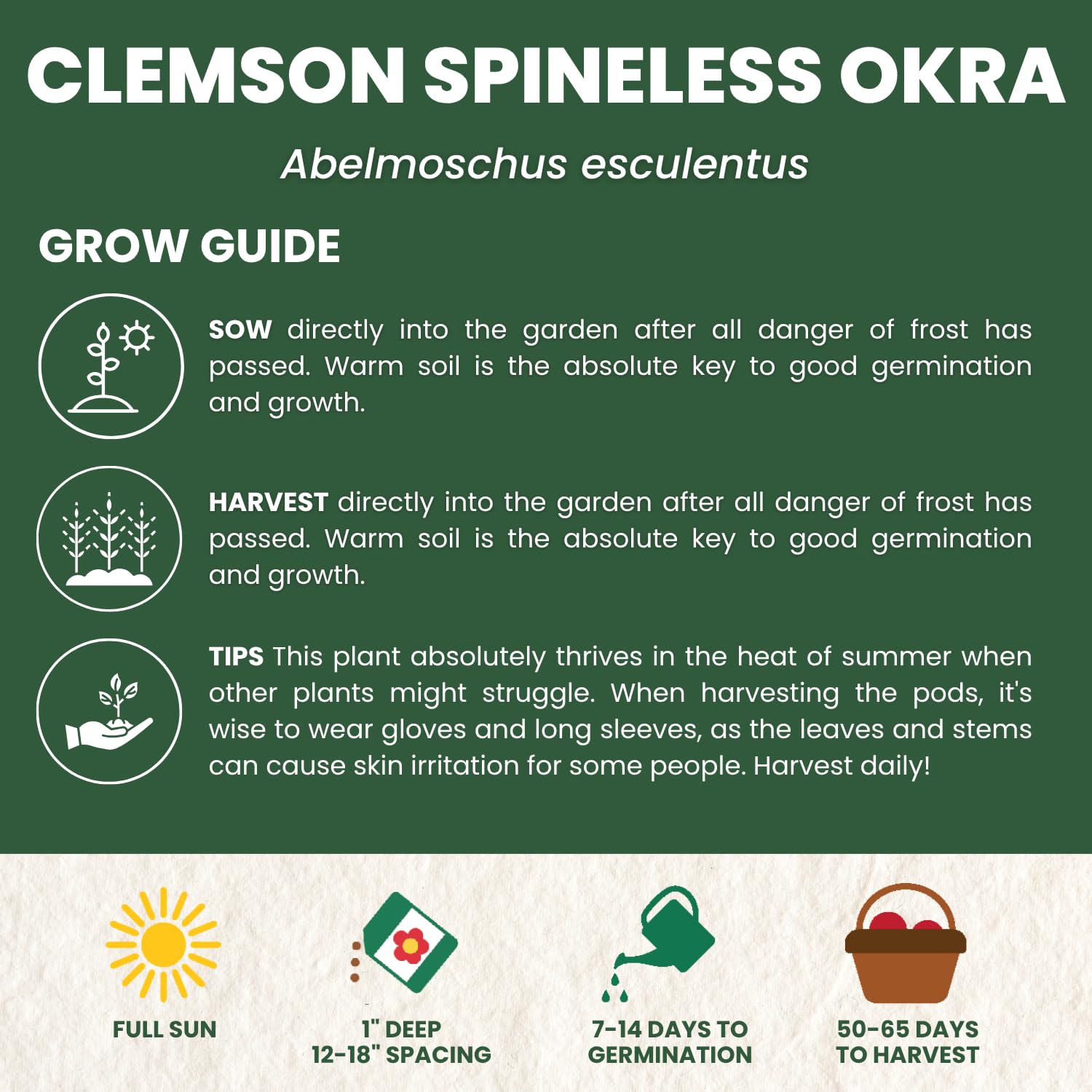 Family Sown full-sun okra plants thriving in warm climates for abundant pods.