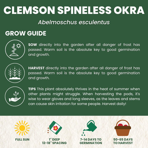 Family Sown full-sun okra plants thriving in warm climates for abundant pods.