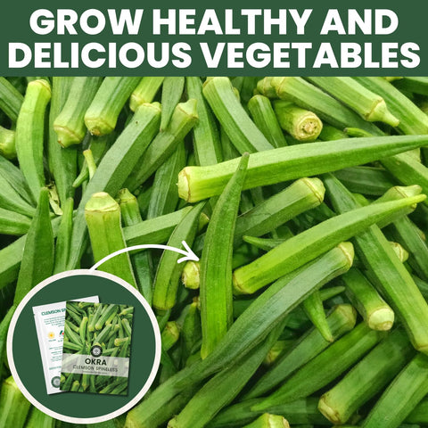 Family Sown sealed-pouch packaging ensuring seed freshness for long-season gardening.