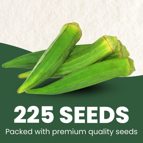 Family Sown sealed freshness pouch protecting premium seeds for strong germination.