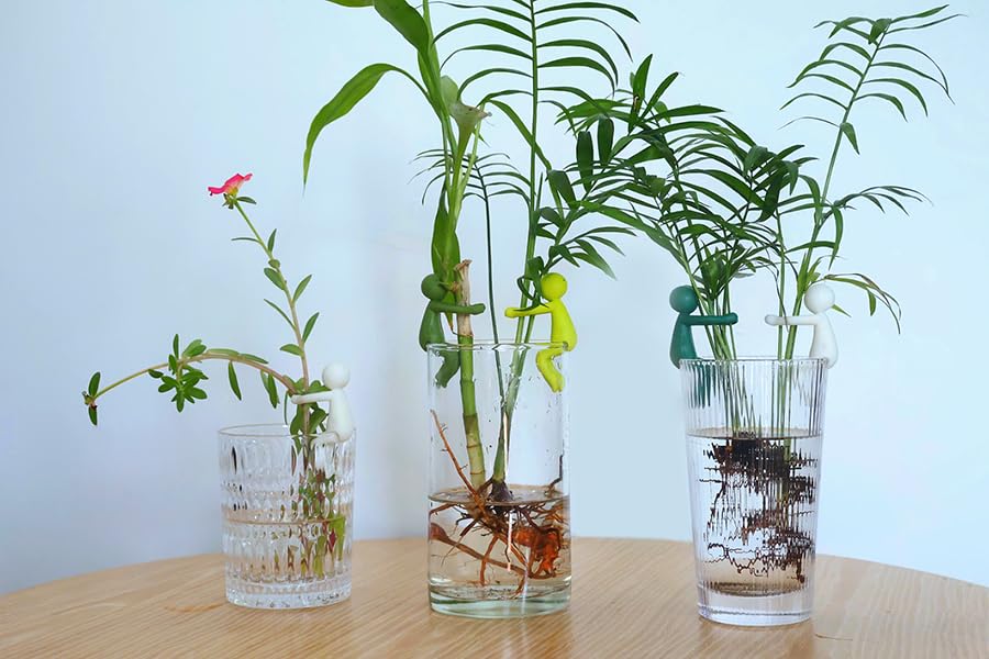 Famiphotogifts Plant Propagation Buddy close-up shows sturdy, stable holders