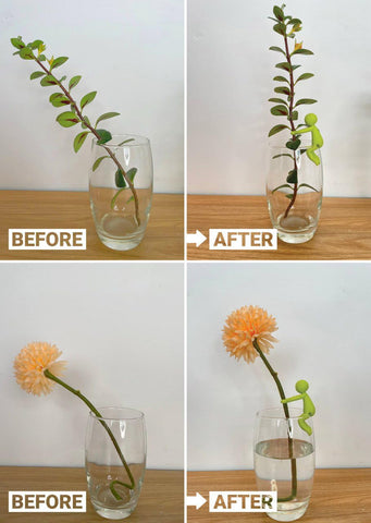 Famiphotogifts Plant Propagation Buddy shown with hydroponic setup for space-saving propagation