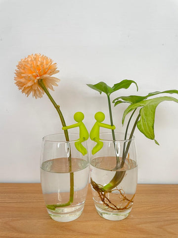 Famiphotogifts Plant Propagation Buddy in use shows tidy cuttings