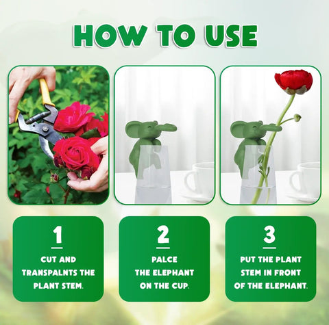 Famiphotogifts Plant Propagation Buddy keeps stems organized during propagation sessions.