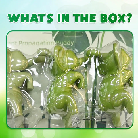 Famiphotogifts Plant Propagation Buddy supports pothos, monstera, and succulents with stability.
