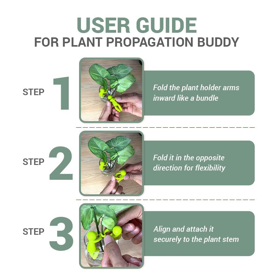 Famiphotogifts Plant Propagation Buddy stem-support keeps cuttings in place