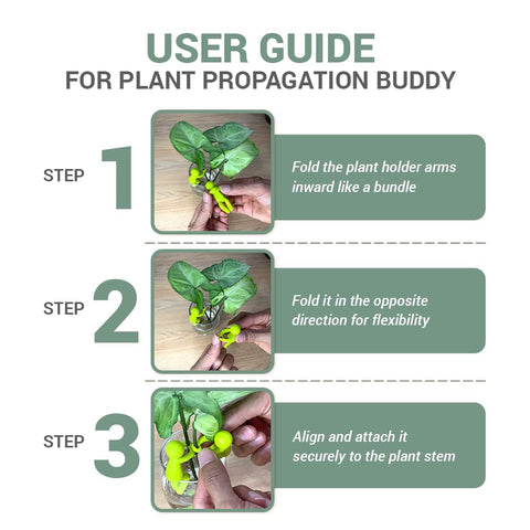 Famiphotogifts Plant Propagation Buddy stem-support keeps cuttings in place
