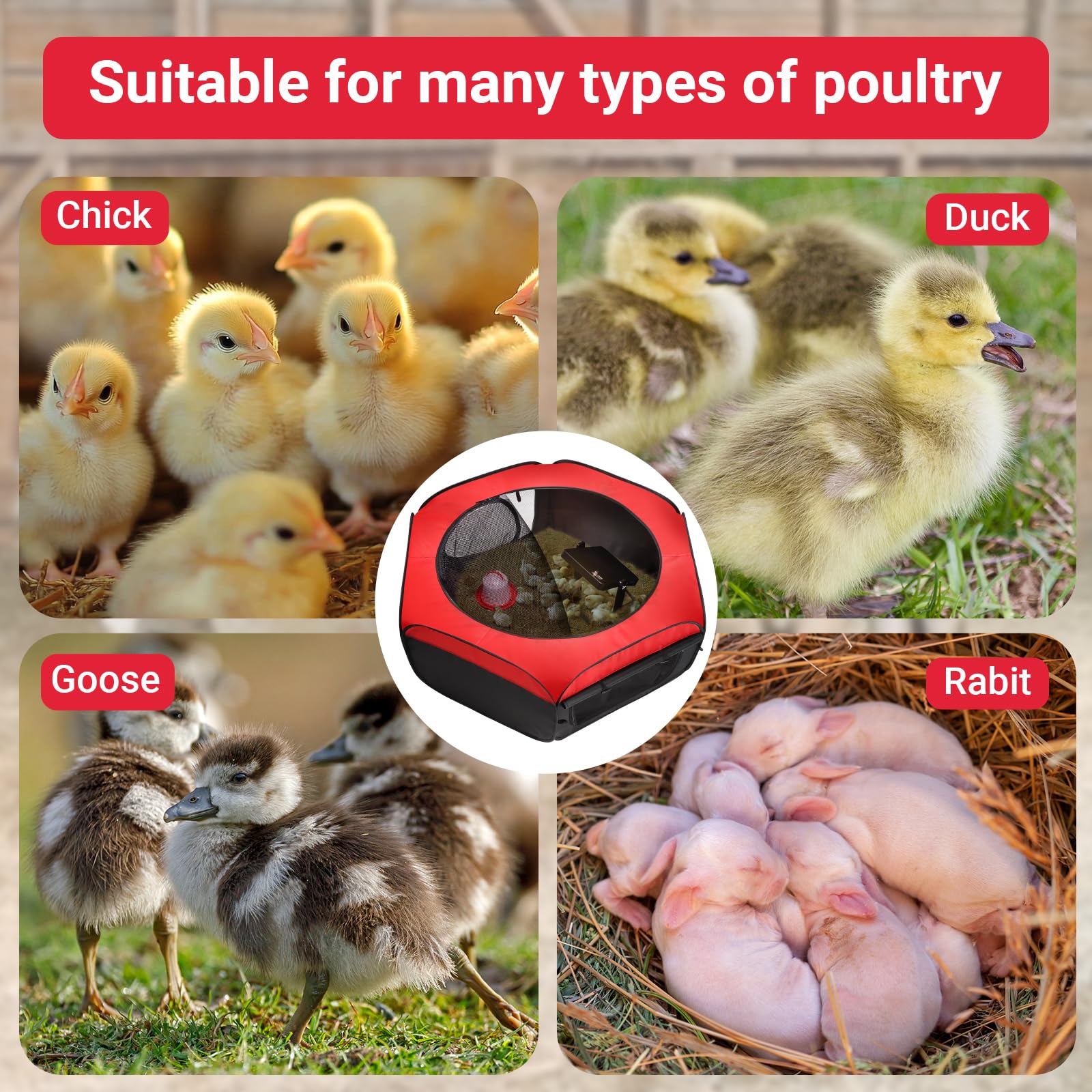 FAMIROSA brooder heating plate lets you adjust temperature for early warmth.